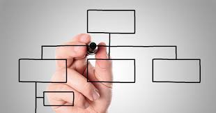 Esempio schema organigramma