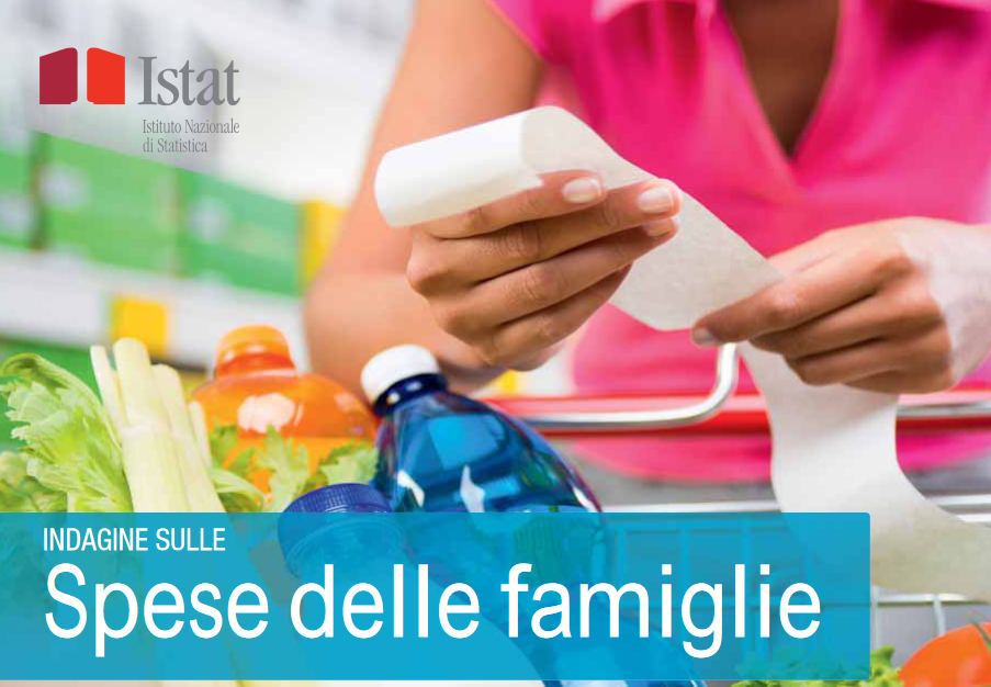 Indagine ISTAT spese delle famiglie